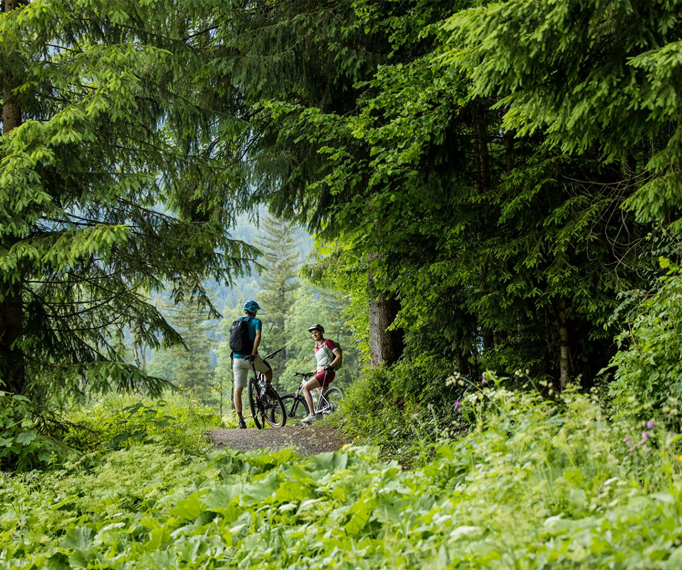 Radfahren im Naturpark Ammergauer Alpen