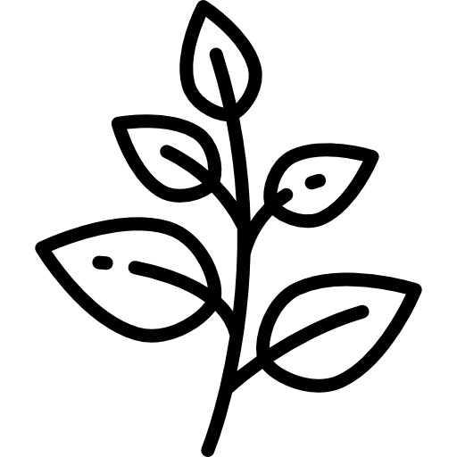 Kräuter Icon